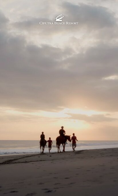 Escape the Hustle and Bustle: Horse Riding at the Beach