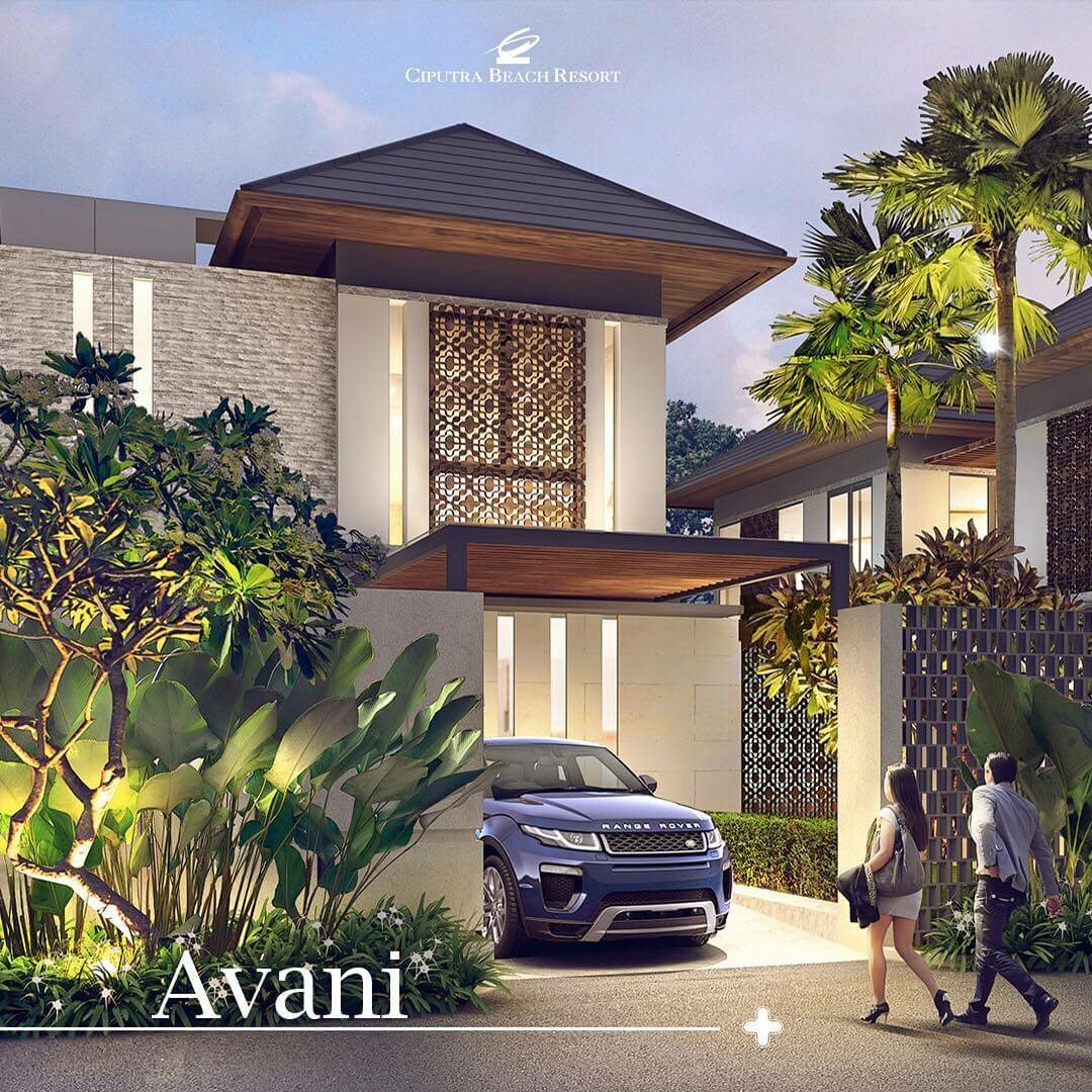 Avani